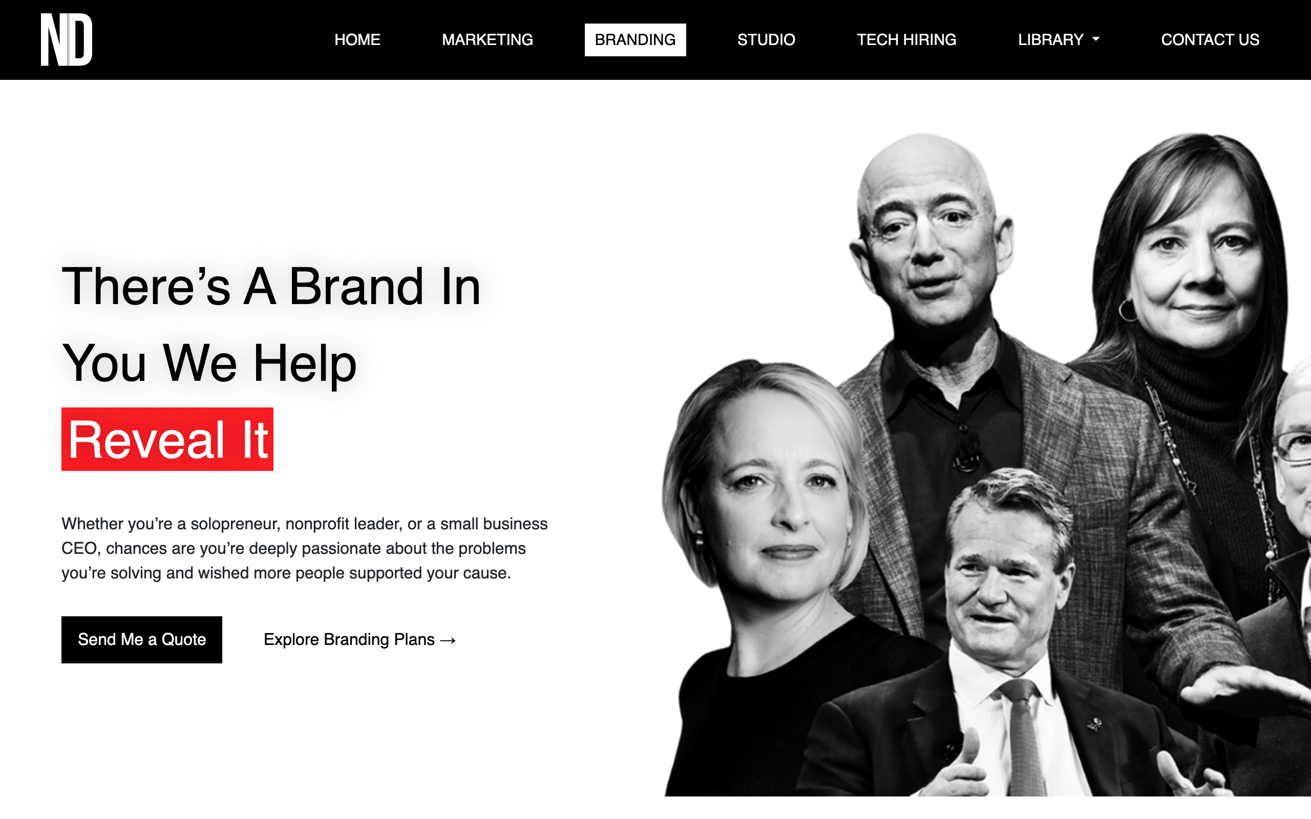 Netrocon Digital Branding Service Page Screenshot
